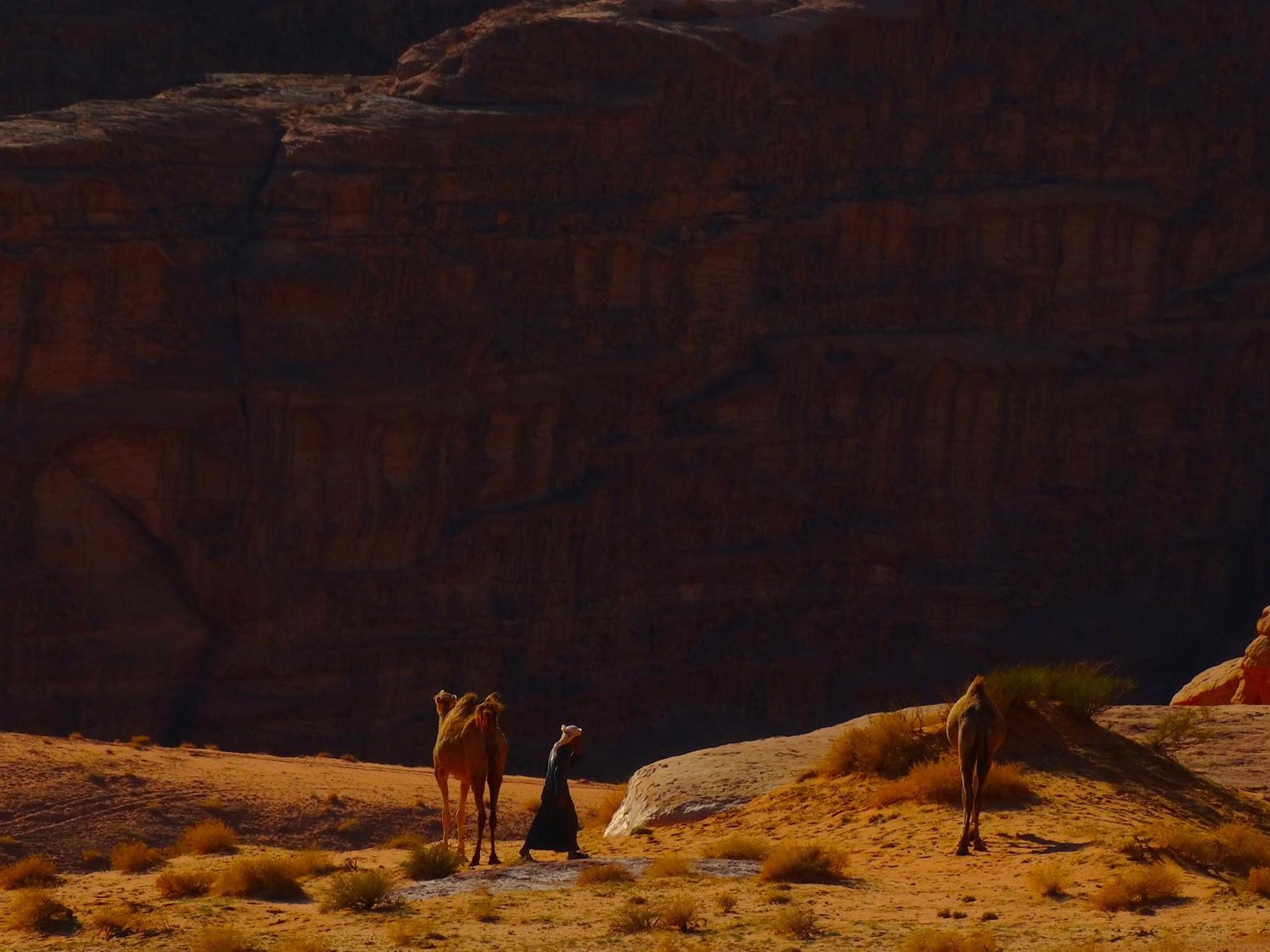 Wadi Rum View Camp Экстерьер фото