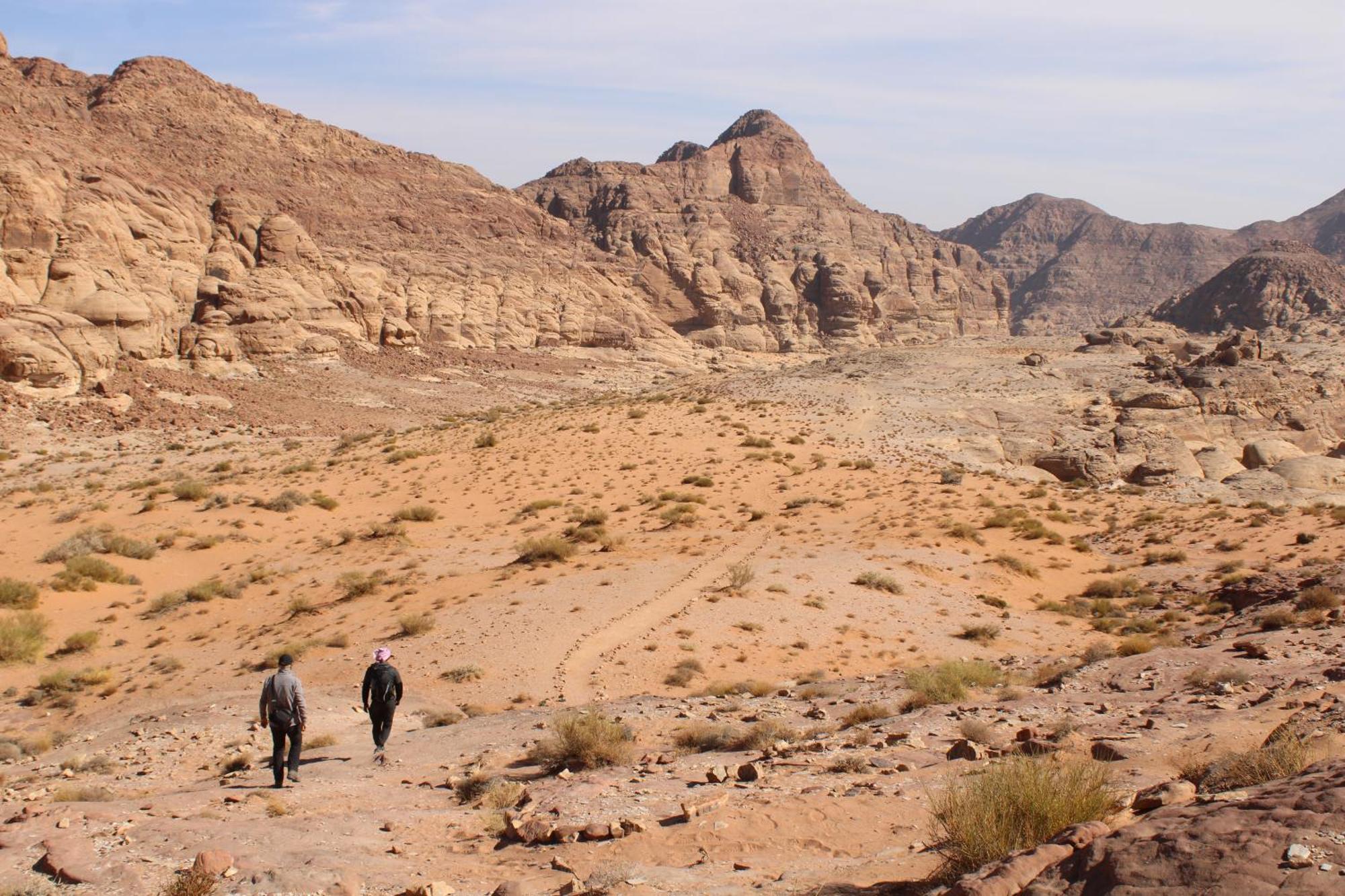 Wadi Rum View Camp Экстерьер фото